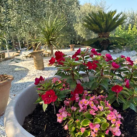 Agrihome Di Alberto Giuseppe Gulotta Bella Vista Salvia * マッサローザ