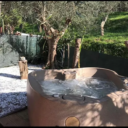 Agrihome Di Alberto Giuseppe Gulotta Bella Vista Salvia Massarosa