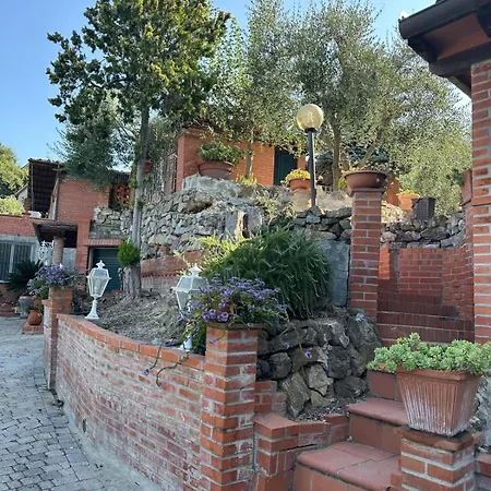 Agrihome Di Alberto Giuseppe Gulotta Bella Vista Salvia *