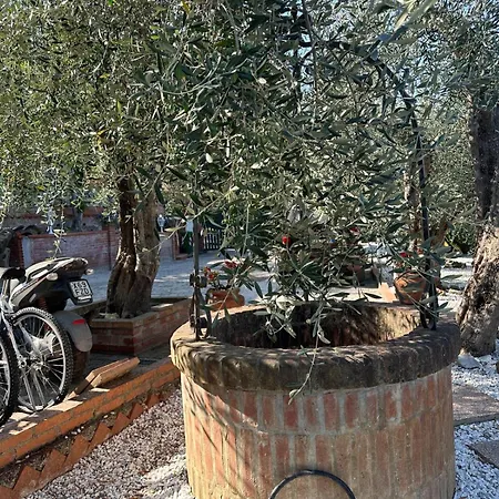 Agrihome Di Alberto Giuseppe Gulotta Bella Vista Salvia Massarosa
