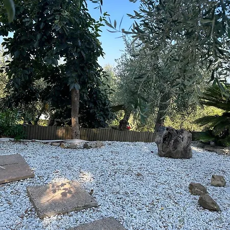 Agrihome Di Alberto Giuseppe Gulotta Bella Vista Salvia
