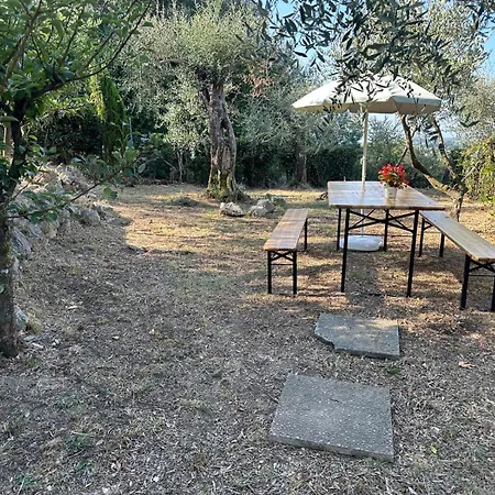 Agrihome Di Alberto Giuseppe Gulotta Bella Vista Salvia Appartamento Massarosa