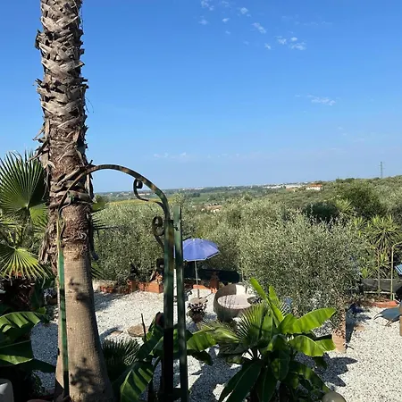 Agrihome Di Alberto Giuseppe Gulotta Bella Vista Salvia マッサローザ