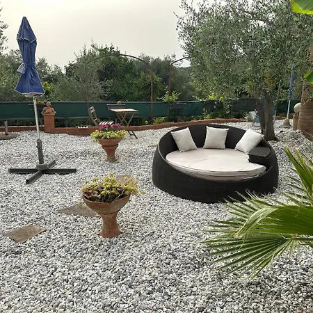 Agrihome Di Alberto Giuseppe Gulotta Bella Vista Salvia * マッサローザ