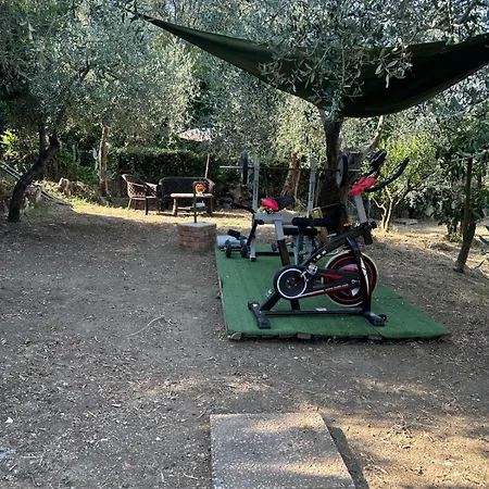 Agrihome Di Alberto Giuseppe Gulotta Bella Vista Salvia Appartamento