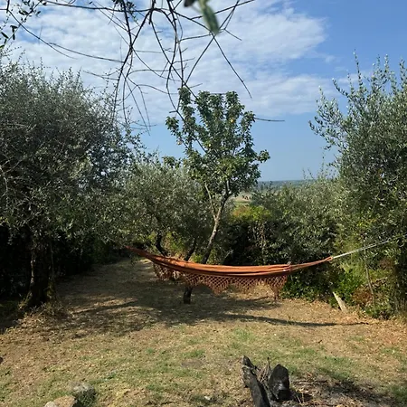 Agrihome Di Alberto Giuseppe Gulotta Bella Vista Salvia *